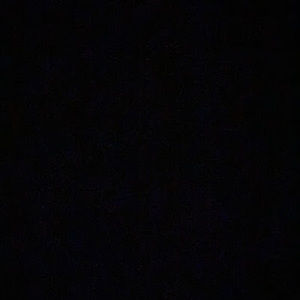 Meet your Posher, Selena rose